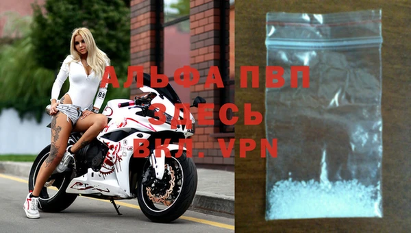 прущие крисы Няндома