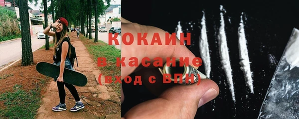 дживик Алзамай